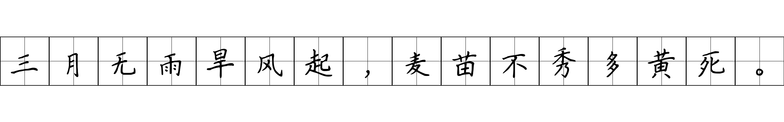 三月无雨旱风起，麦苗不秀多黄死。