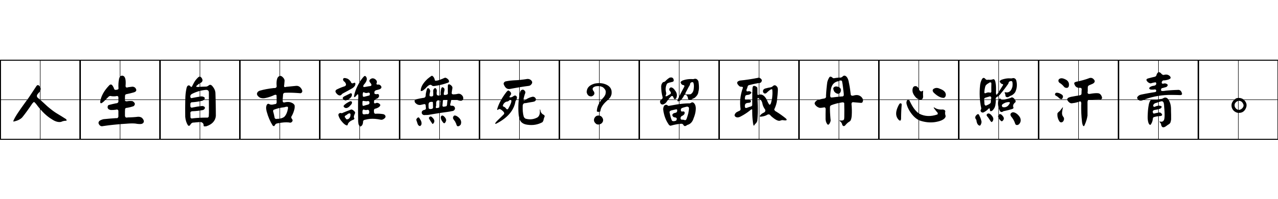 人生自古誰無死？留取丹心照汗青。