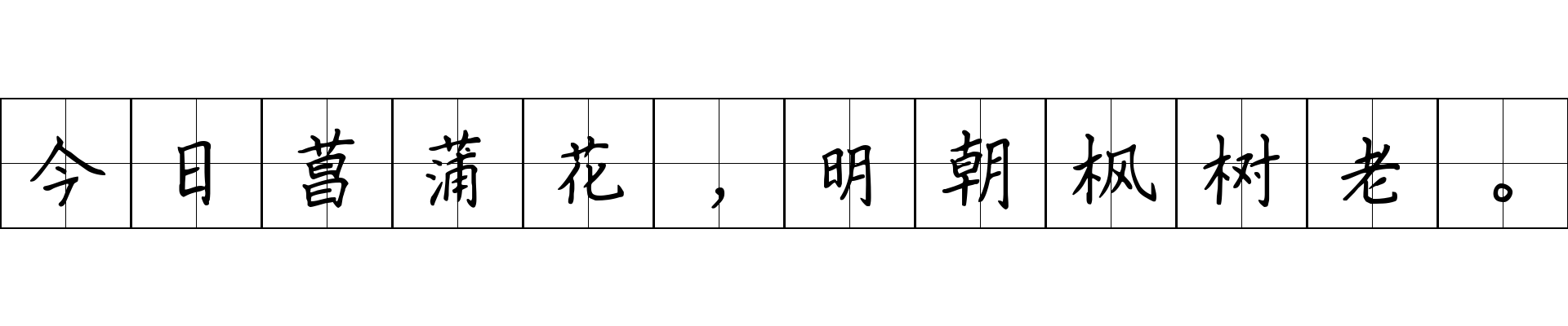 今日菖蒲花，明朝枫树老。