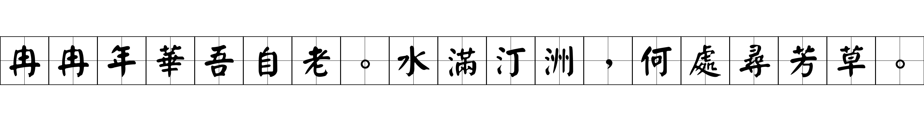 冉冉年華吾自老。水滿汀洲，何處尋芳草。