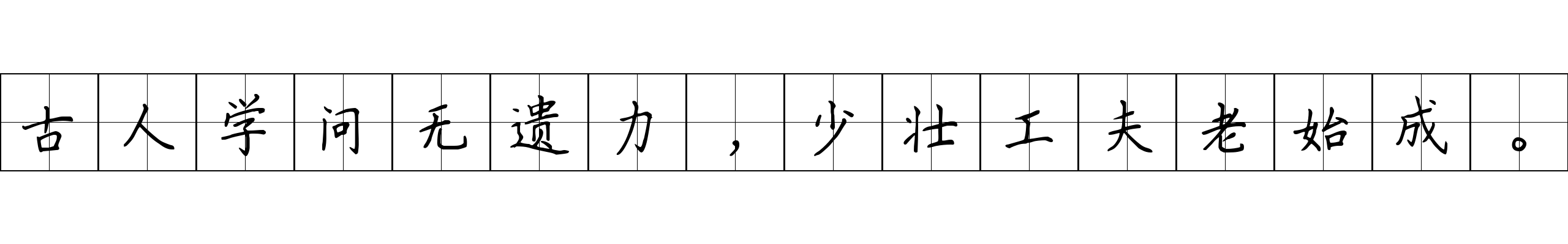 古人学问无遗力，少壮工夫老始成。