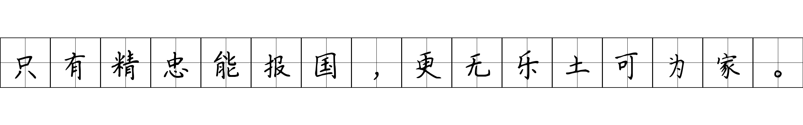 只有精忠能报国，更无乐土可为家。