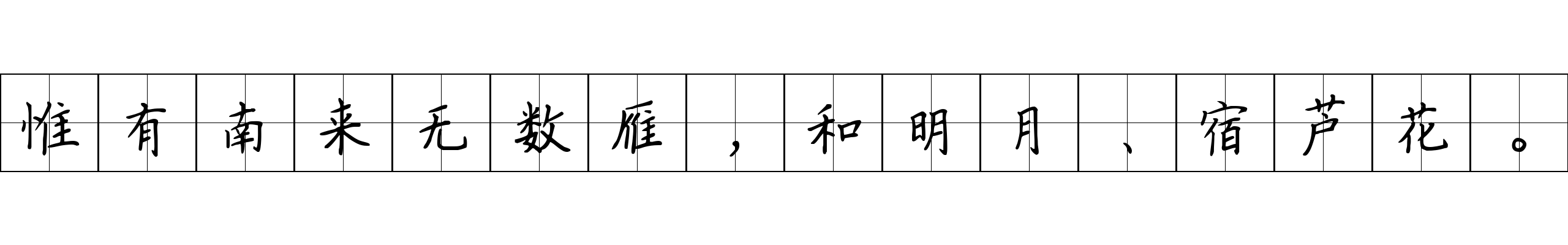 惟有南来无数雁，和明月、宿芦花。