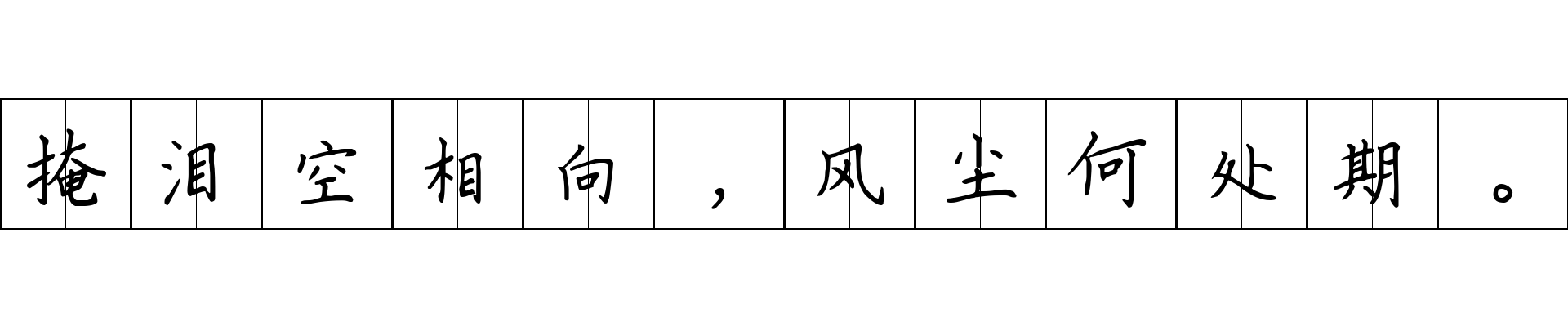 掩泪空相向，风尘何处期。