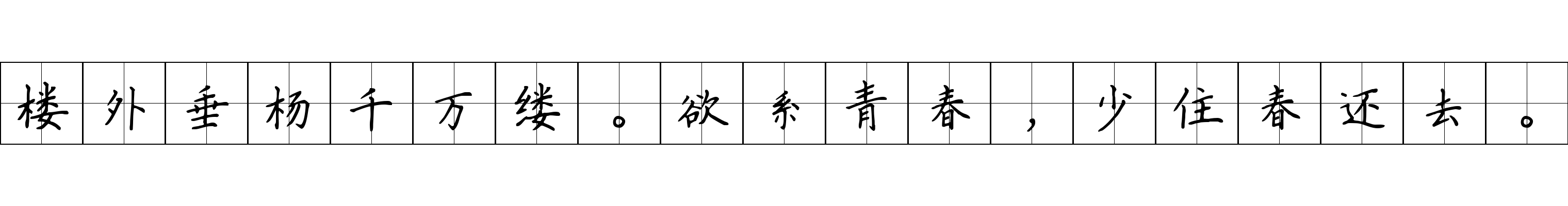 楼外垂杨千万缕。欲系青春，少住春还去。