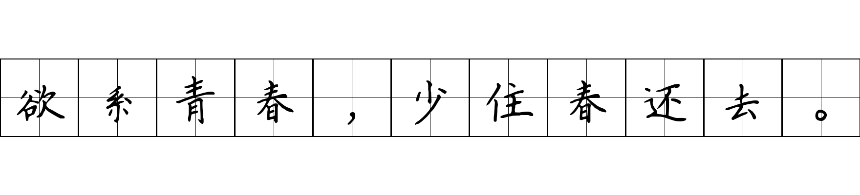 欲系青春，少住春还去。