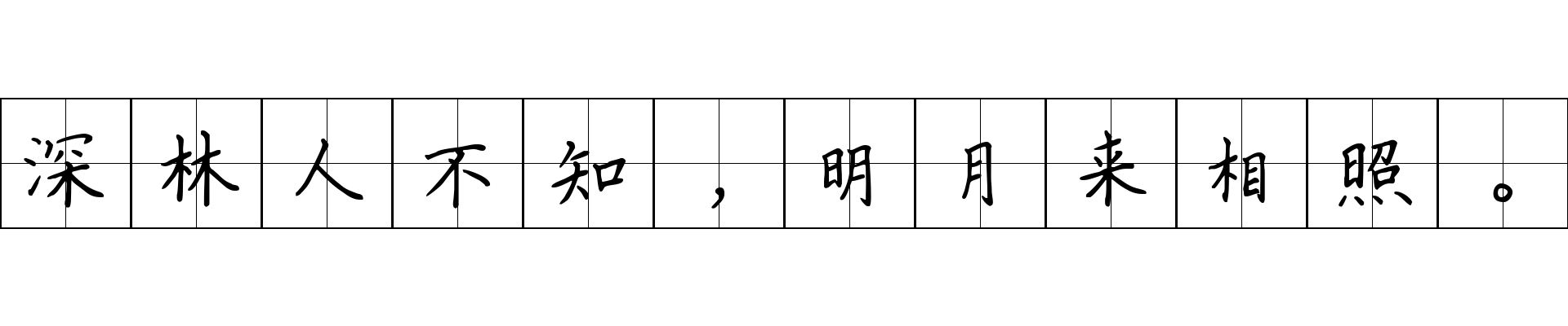 深林人不知，明月来相照。