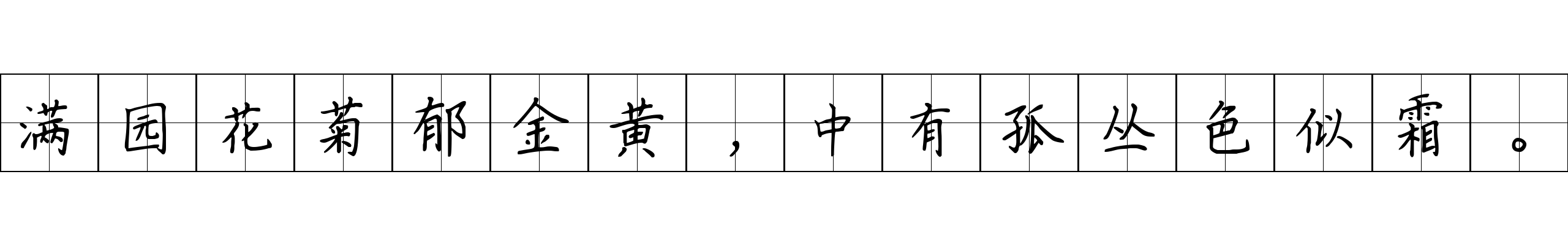 满园花菊郁金黄，中有孤丛色似霜。