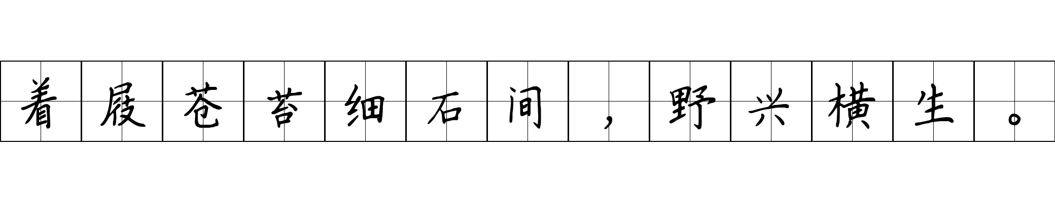 着屐苍苔细石间，野兴横生。