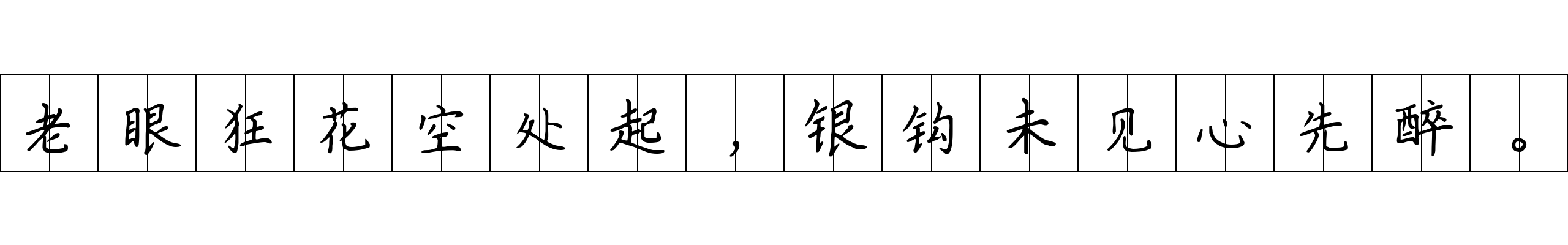 老眼狂花空处起，银钩未见心先醉。