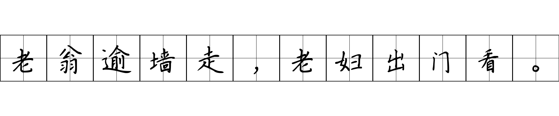 老翁逾墙走，老妇出门看。