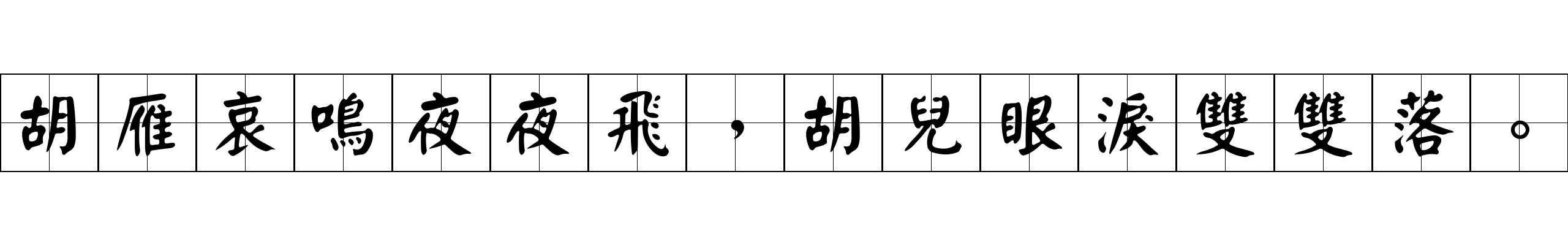 胡雁哀鳴夜夜飛，胡兒眼淚雙雙落。