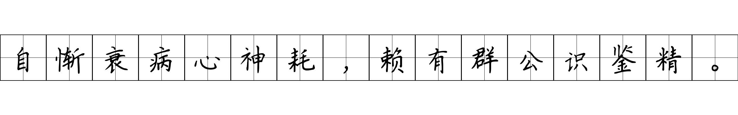 自惭衰病心神耗，赖有群公识鉴精。