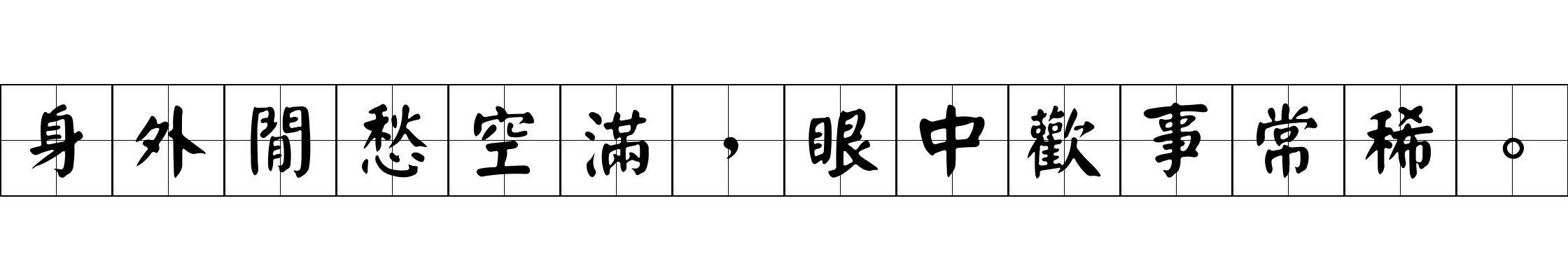 身外閒愁空滿，眼中歡事常稀。