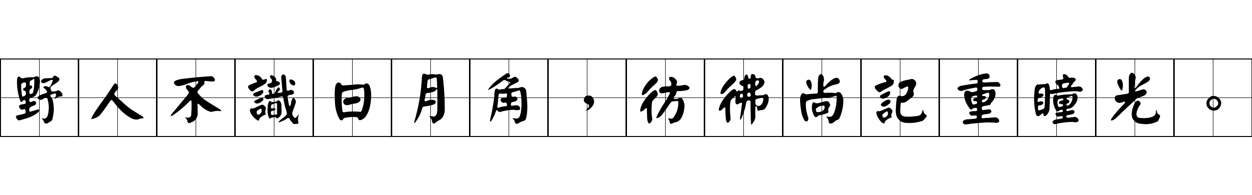 野人不識日月角，彷彿尚記重瞳光。