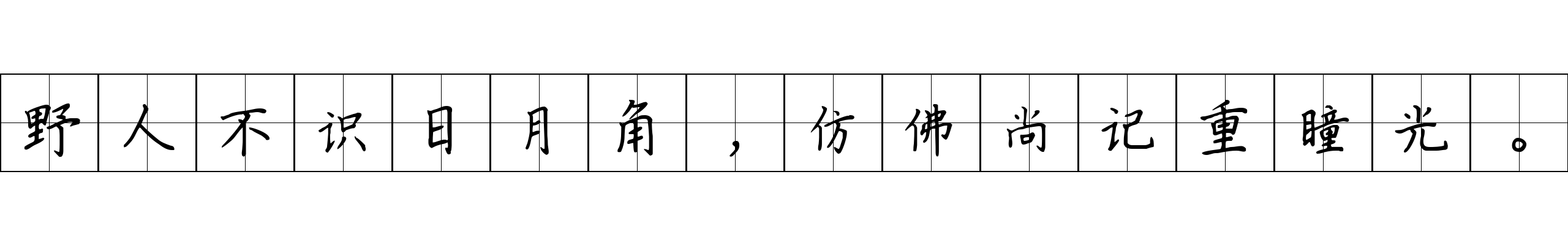 野人不识日月角，仿佛尚记重瞳光。