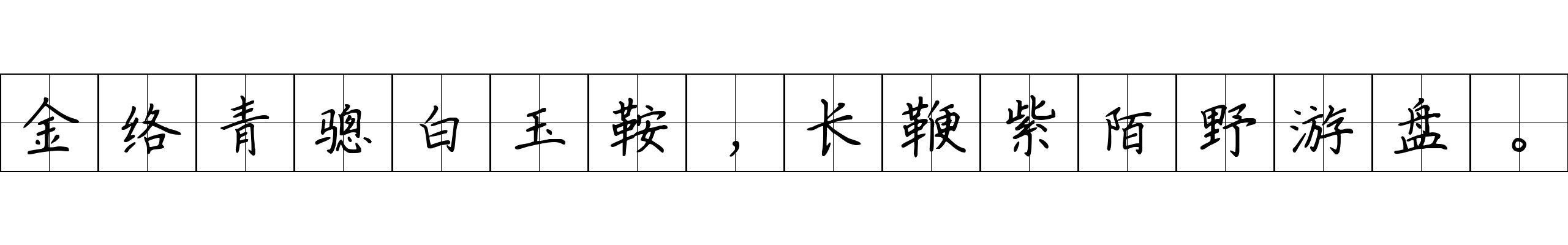 金络青骢白玉鞍，长鞭紫陌野游盘。