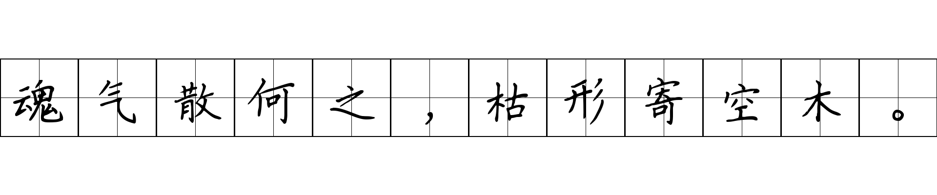 魂气散何之，枯形寄空木。